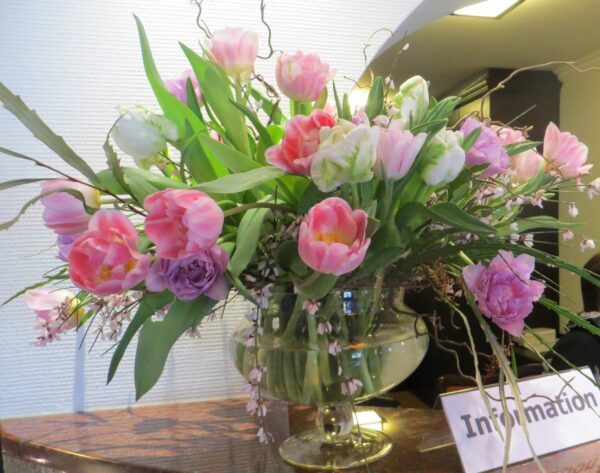 Tulpen