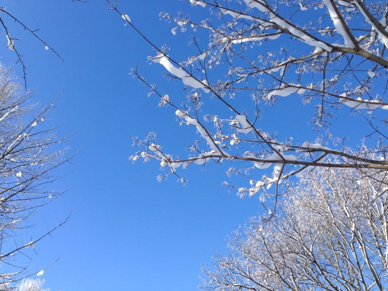 Winter
